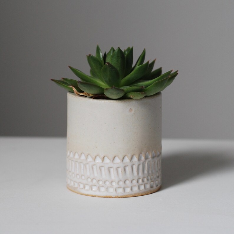 Mini pot succulent // texturé // flocons d'avoine estampé blanc image 2