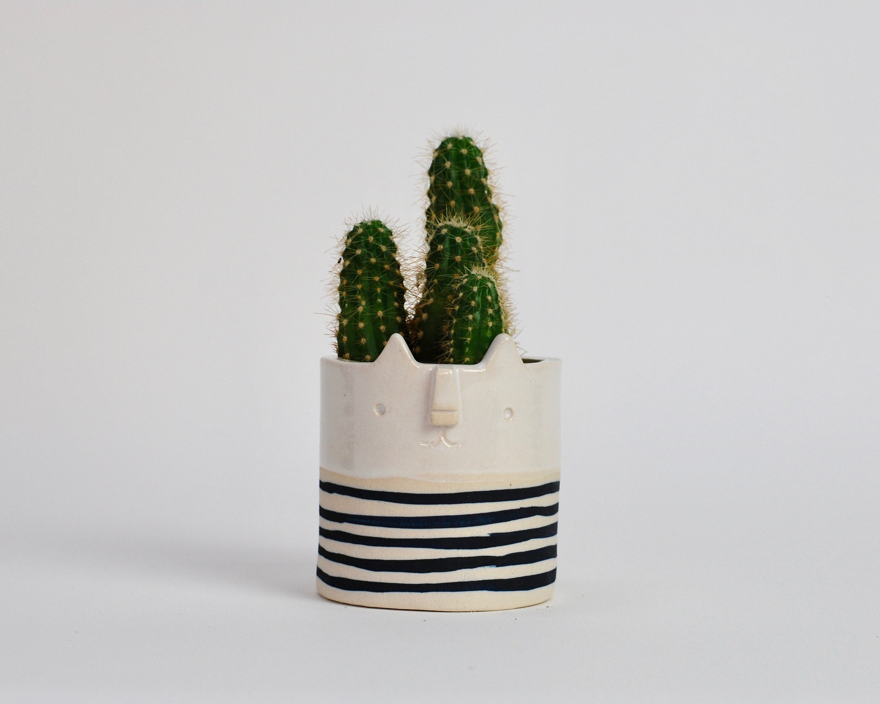Mini Pot de Jardinière en Céramique Pour Chat // Noir + Bande Blanche