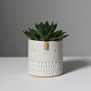 Mini pot succulent // texturé // flocons d'avoine estampé blanc image 1