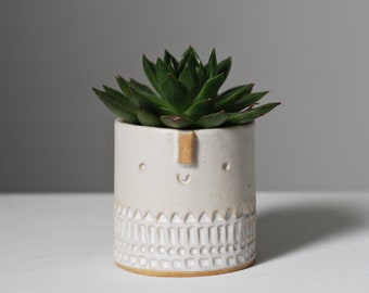 Mini pot succulent // texturé // flocons d'avoine + estampé blanc