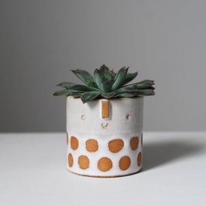 Mini succulent pot // textured // oatmeal + white spot