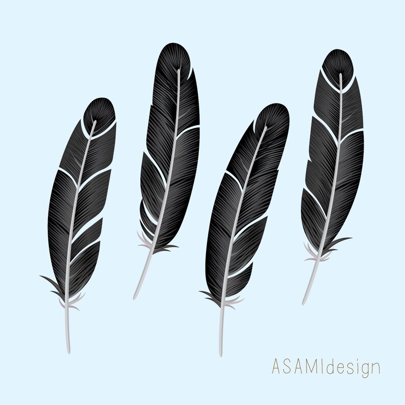 Black Crow Feather Clipart Crow Feathers Clip Art PNG | Etsy