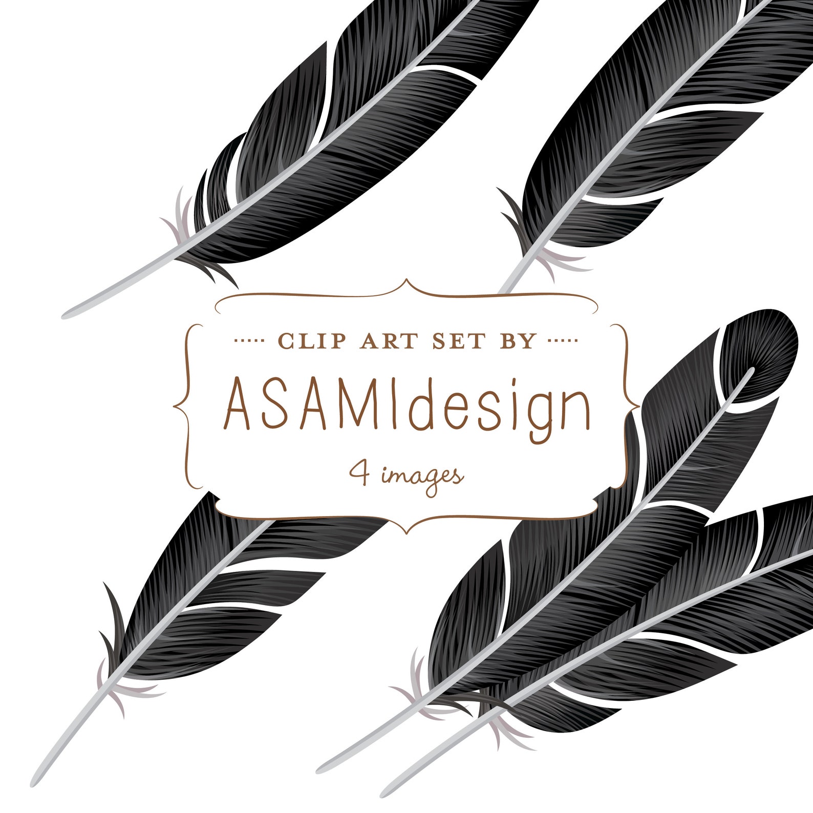 Black Crow Feather Clipart Crow Feathers Clip Art PNG | Etsy