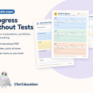 Progress Without Tests Kit | Narrative Evaluation, Skills Observation, Work Sample Log & Portfolio Review Prep | Printable