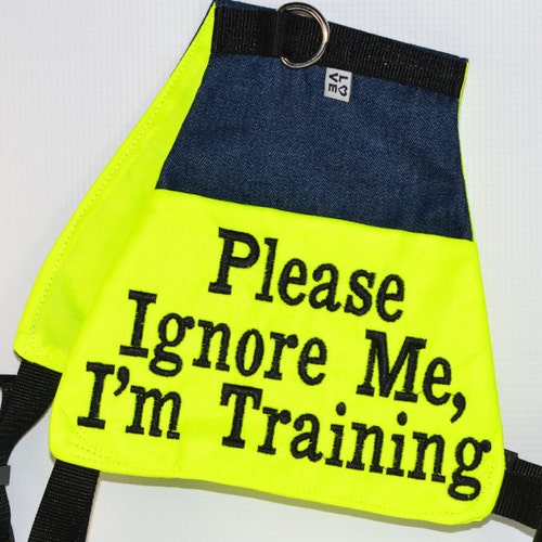 Vest select Your Size Please Ignore Me I'm Training Etsy