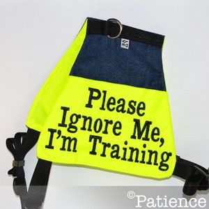 Vest (select your size), Please Ignore Me, I&#39;m Training, Light weight sd style vest, dog vest, dog cape, jacket, in training