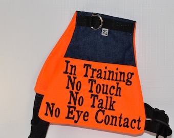 Könnte beinhalten: Orange-blaue Hundetrainingweste mit dem Text "In Ausbildung Nicht anfassen Nicht sprechen Kein Augenkontakt".