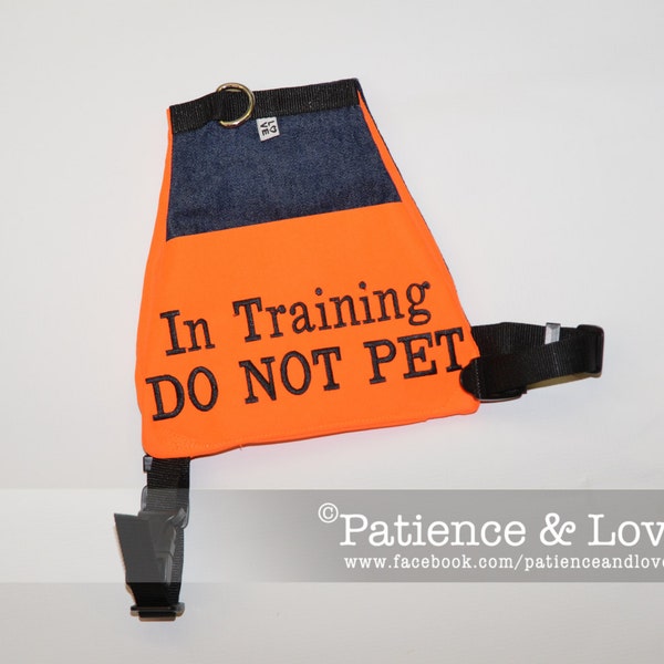 READY to Ship -- Vest (for 25 to 90lb dogs), "In Training DO Not PET", Light weight service-dog style vest