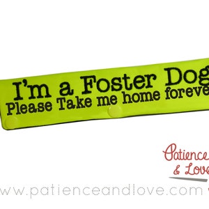 1 I&#39;m a Foster Dog, choose which ending, Leash Sleeve, collar wrap, customizable adoptable sign