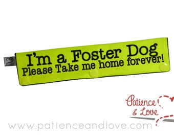 1 I'm a Foster Dog, choose which ending, Leash Sleeve, collar wrap, customizable adoptable sign