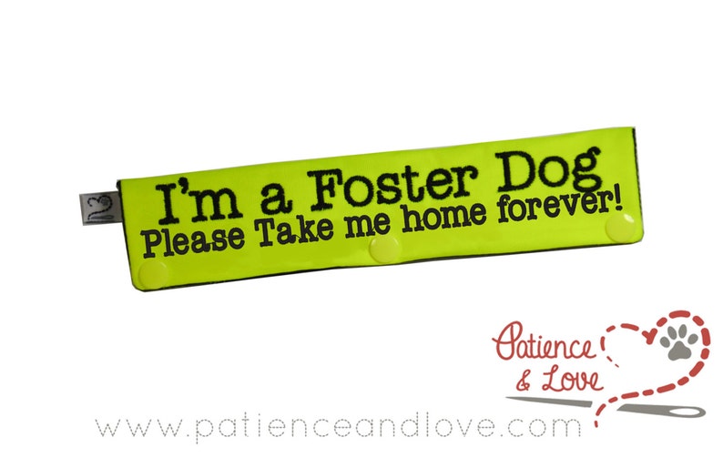 May include: A bright yellow fabric dog tag with black text that reads "I'm a Foster Dog Please Take me home forever!" The tag has two yellow buttons.