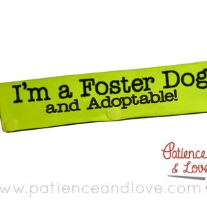 May include: A bright yellow dog collar with black embroidered text that reads "I'm a Foster Dog and Adoptable!" The collar has two yellow snap closures.