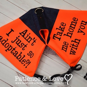 Fun Service Dog Vest Etsy