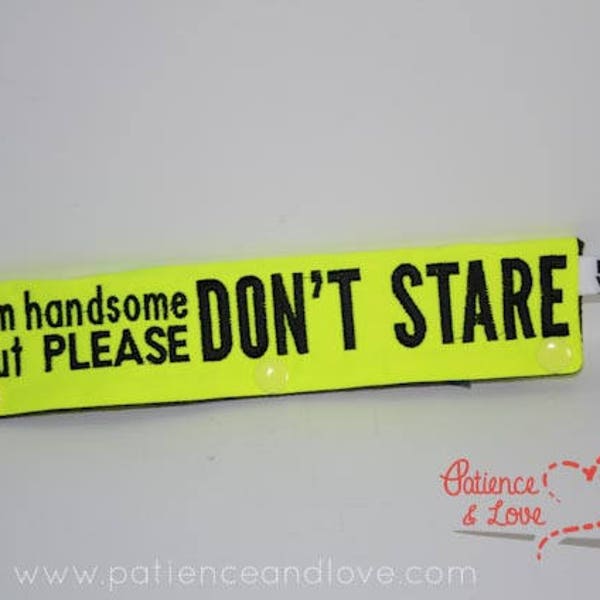 1 I'm handsome, but PLEASE don't stare, leash sleeve, snap on, 2 lines of text on both sides