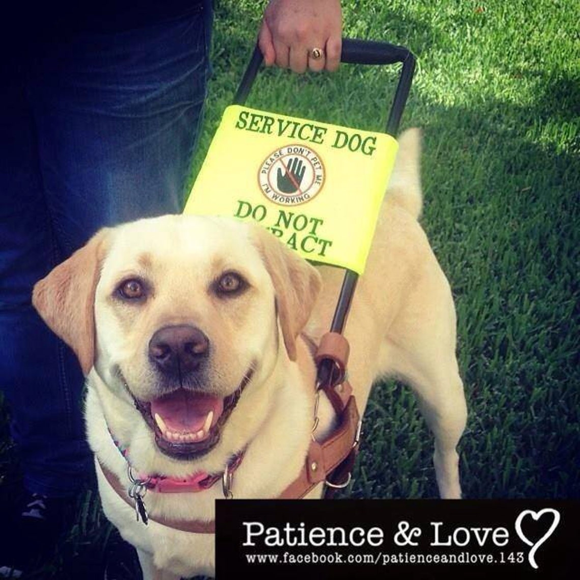 1 IGNORE Working Guide Dog Harness Sign 3 Patches don't Etsy