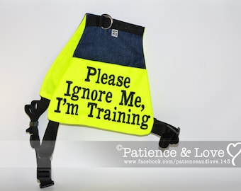 Vest (select your size), Please Ignore Me, I'm Training, Light weight service dog style vest, dog vest, dog cape, jacket, in training