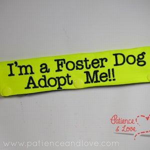 1 I'm a Foster Dog, choose which ending, Leash Sleeve, collar wrap, customizable adoptable sign image 3