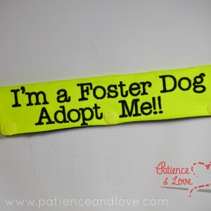 May include: A bright yellow fabric patch with black text that reads "I'm a Foster Dog Adopt Me!" The patch has two yellow snap buttons on the sides.