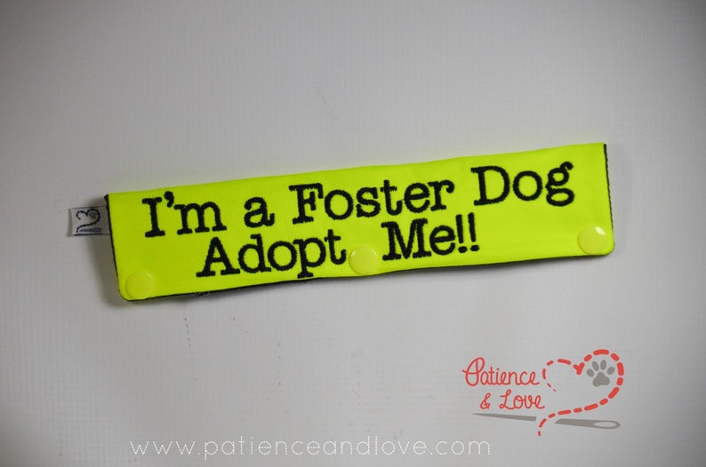 May include: A bright yellow fabric patch with black text that reads "I'm a Foster Dog Adopt Me!" The patch has two yellow snap buttons on the sides.