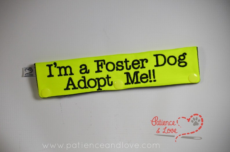 1 I'm a Foster Dog, choose which ending, Leash Sleeve, collar wrap, customizable adoptable sign image 3