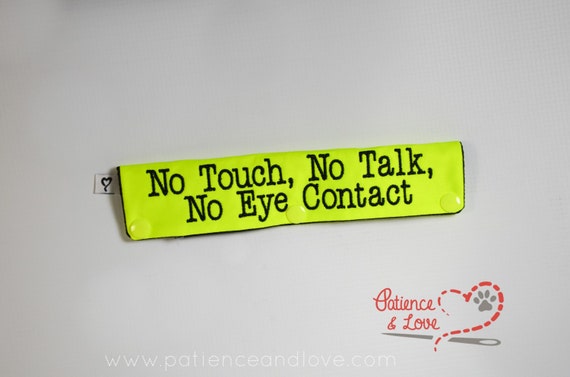 Cesar Millan No Touch No Talk No Eye Contact
