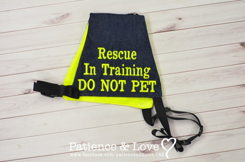 Dog Vest very adjustable, Rescue In Training DO NOT PET, Light weight sd style vest, custom embroidered, in training image 2