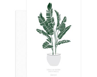 Modern house plant print, botanical postcard