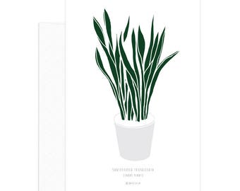 Botanical greeting card, minimalist botanical print, Sansevieria Trifasciata