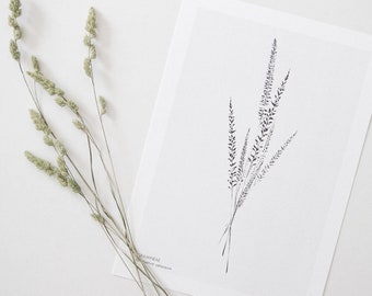 Wildflower print, minimalist botanical print