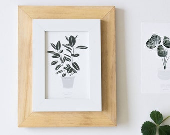 Small botanical prints, Ficus Elastica plant print wall art