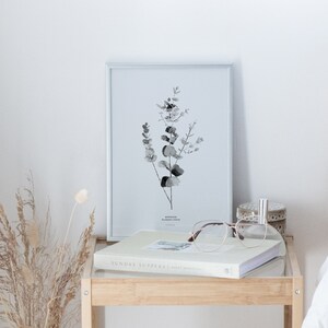 Affiche murale de plantes dintérieur, Impression botanique, Impression botanique minimaliste, Eucalyptus Cinerea, Dessin en noir et blanc, Décor de salon image 2