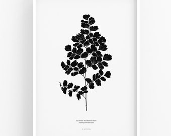 Botanic Art, Black and White Print, Leaf Print, Nature Minimal Art, Leaf Poster, Maidenhair Fern, Leaf Wall Art, Nature Print, Art Gift