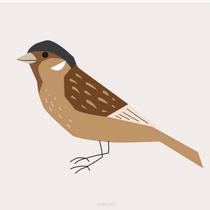 Bird Wall Art, Bird Artwork, Sparrow Print, Bird Lover Gift, Bird Poster, Nature Print, Gifts for Gardeners, Minimalist Birds Print image 3