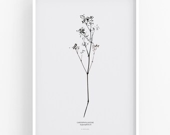 Office Decor, Modern Art, Minimal Art, Original Art Print, Botanical Poster, Scandinavian Decor, Living Room Wall Hanging, New Home Gift