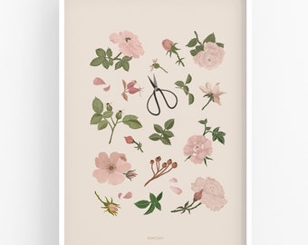 Pink roses print, florist print, floral wall art