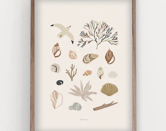 Sea-shells poster, baby sea shells wall art, ocean life, nursery print ocean nursery prints baby sea, print whimsical