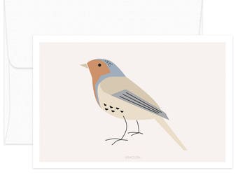 Robin Bird Card, Bird print, Animal Postcard, Card, Birthday Greeting Card, Scrapbooking Gift, Paper Goods, Collectible Postcard