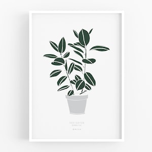 Wall Art Print, Gardening Art, Botanical Print, Modern Wall Print, Botanic Art, Plant Lovers Gift, Greenery, Rubber Plant, Ficus Elastica