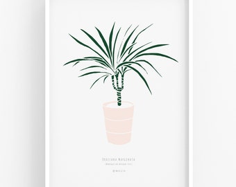 Modern house plant print, modern botanical print