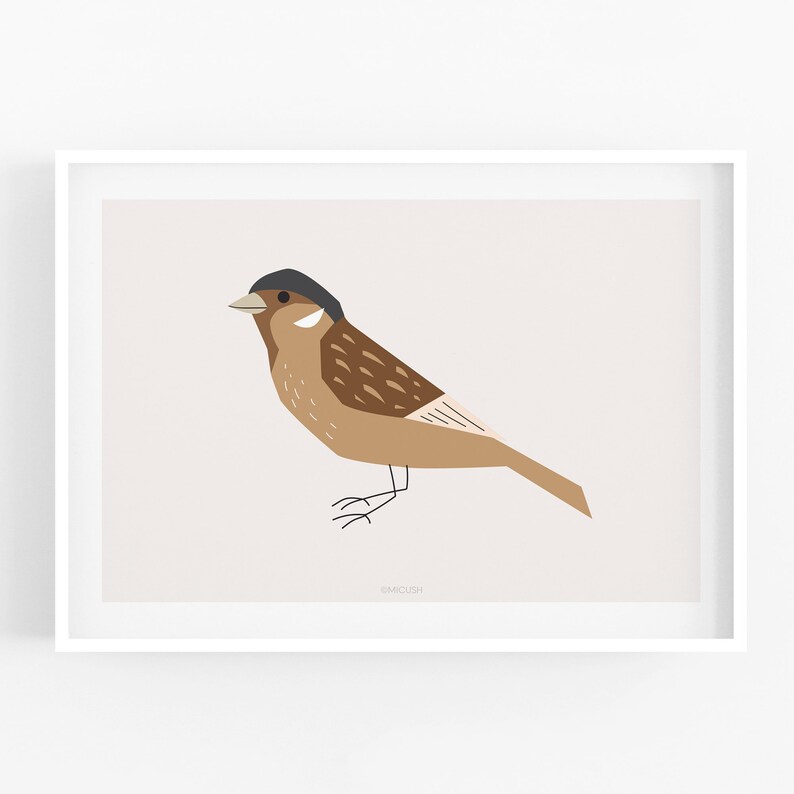 Bird Wall Art, Bird Artwork, Sparrow Print, Bird Lover Gift, Bird Poster, Nature Print, Gifts for Gardeners, Minimalist Birds Print image 1