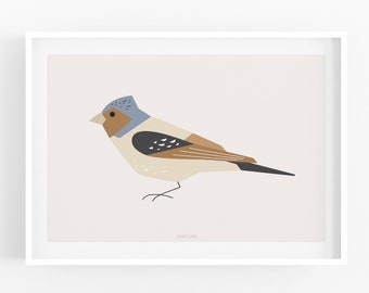 Nature Art Print, Bird Lover Gift, Bird Decor, Bird Poster, Modern Minimalist Print, Beautiful Art Print, Bird Illustration, Wall Print