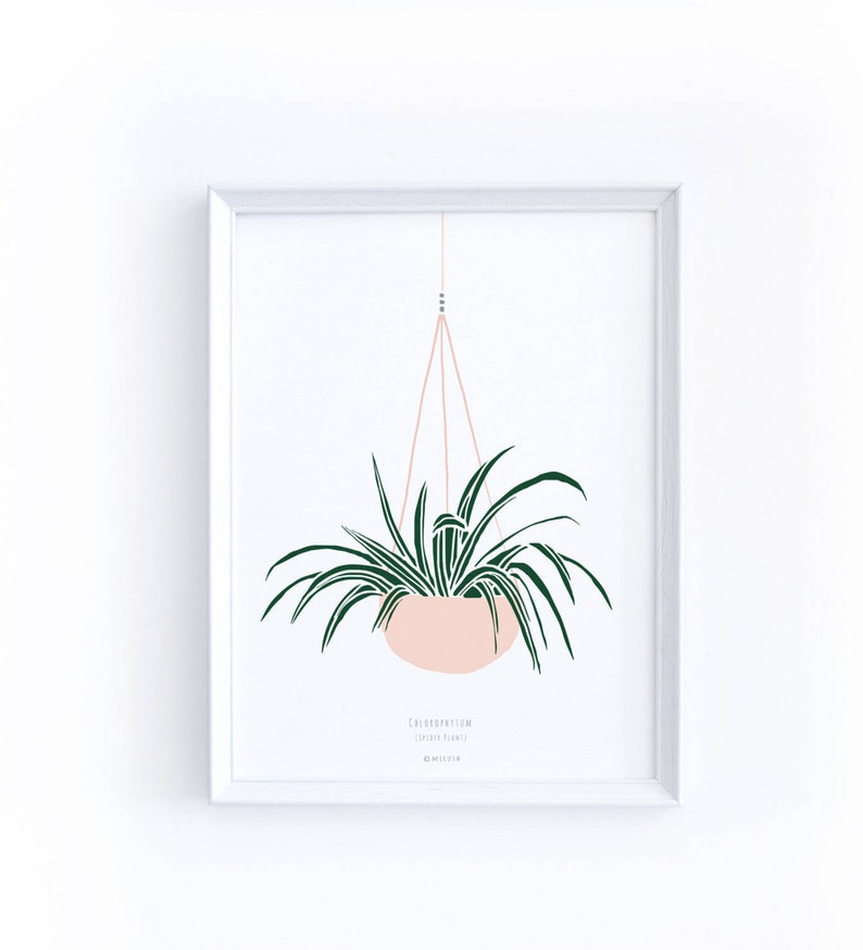 Tropical plant print with hanger, modern botanical print image 1