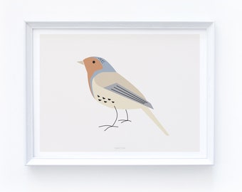 Robin bird print wall art, modern bird print