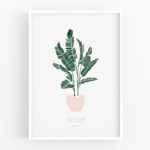 Modern botanical print, modern plant wall art, house plant, Strelitzia Reginae, bird of paradise print, spring print, botanical art print