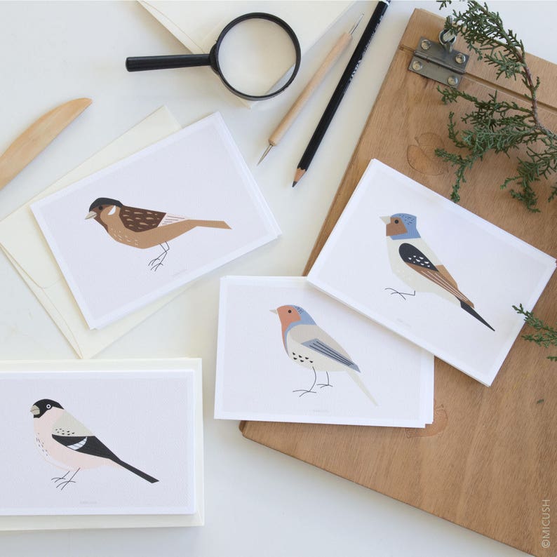 Bird Wall Art, Bird Artwork, Sparrow Print, Bird Lover Gift, Bird Poster, Nature Print, Gifts for Gardeners, Minimalist Birds Print image 4