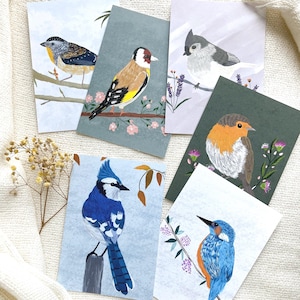 Impressões de arte de pássaros A6 | Impressões de natureza ilustradas à mão | Escolha 1, conjunto de 3 ou coleção completa | Arte e decoração de parede Cottagecore
