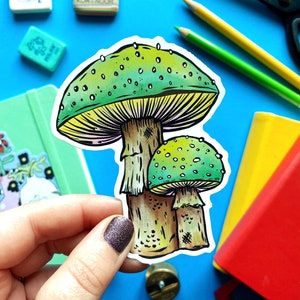 Green Mushroom Sticker. Fungi Sticker. Mushroom Art. Mushroom Illustration. Mushroom Stationery. Mushroom Lover. Cute Sticker. Vinyl. Witch