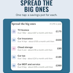 Spread the big ones: the TV licence, car insurance, cloud storage, car tax and the MOT, each with its next due date and about how much a month