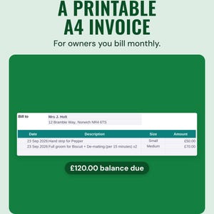 Printable A4 invoice billed to an owner for two dogs