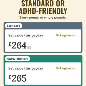 Standard and ADHD-friendly modes showing the set aside this payday total